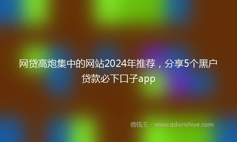 网贷高炮集中的网站2024年推荐，分享5个黑户贷款必下口子app