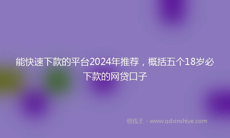 能快速下款的平台2024年推荐，概括五个18岁必下款的网贷口子