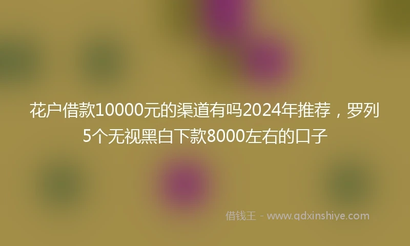 花户借款10000元的渠道有吗2024年推荐，罗列5个无视黑白下款8000左右的口子
