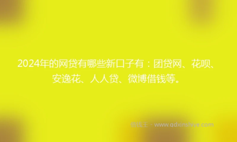 2024年的网贷有哪些新口子有：团贷网、花呗、安逸花、人人贷、微博借钱等。