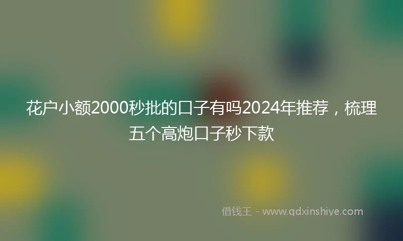 花户小额2000秒批的口子有吗2024年推荐，梳理五个高炮口子秒下款