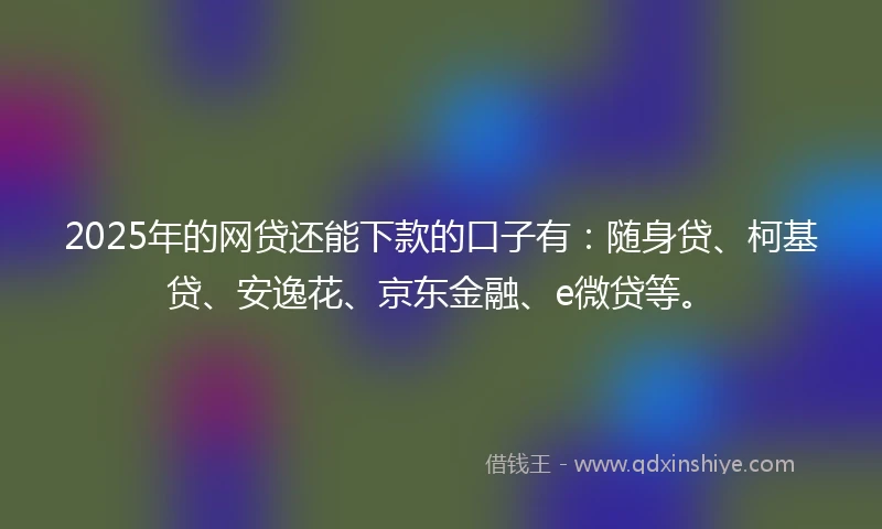 2025年的网贷还能下款的口子有：随身贷、柯基贷、安逸花、京东金融、e微贷等。
