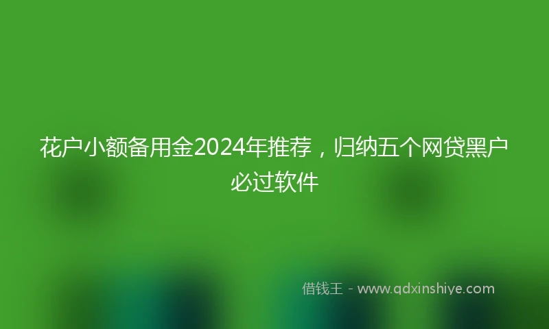 花户小额备用金2024年推荐，归纳五个网贷黑户必过软件