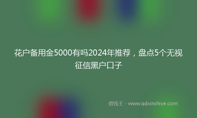 花户备用金5000有吗2024年推荐，盘点5个无视征信黑户口子