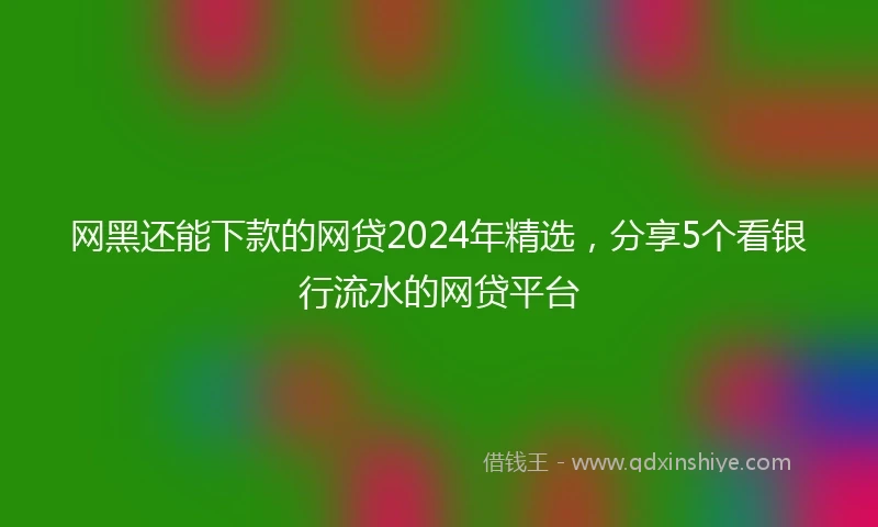 网黑还能下款的网贷2024年精选，分享5个看银行流水的网贷平台