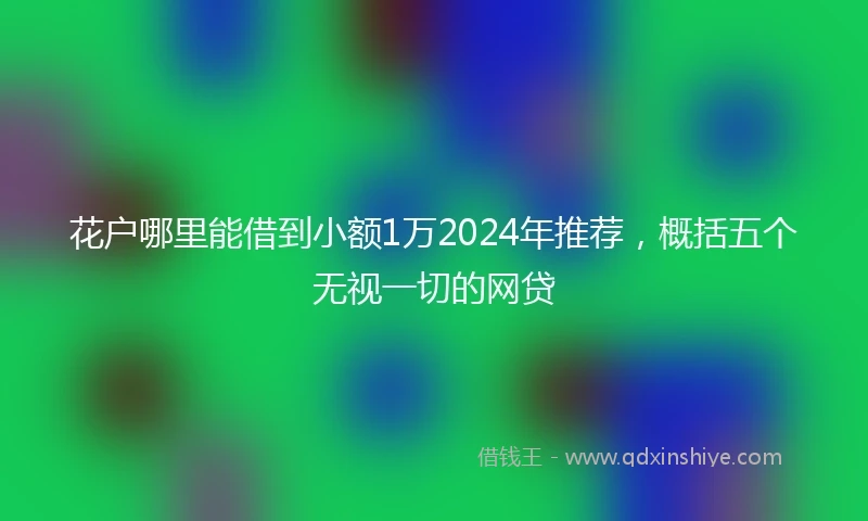 花户哪里能借到小额1万2024年推荐，概括五个无视一切的网贷