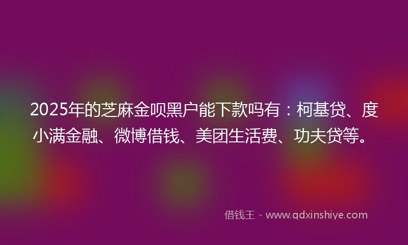 2025年的芝麻金呗黑户能下款吗有：柯基贷、度小满金融、微博借钱、美团生活费、功夫贷等。