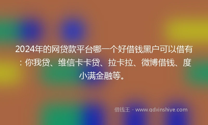 2024年的网贷款平台哪一个好借钱黑户可以借有：你我贷、维信卡卡贷、拉卡拉、微博借钱、度小满金融等。