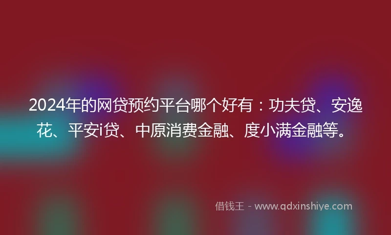 2024年的网贷预约平台哪个好有：功夫贷、安逸花、平安i贷、中原消费金融、度小满金融等。