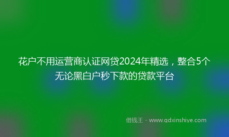 花户不用运营商认证网贷2024年精选，整合5个无论黑白户秒下款的贷款平台