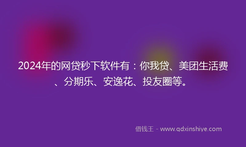 2024年的网贷秒下软件有：你我贷、美团生活费、分期乐、安逸花、投友圈等。