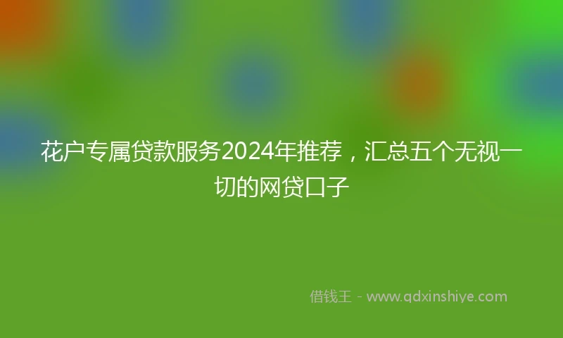 花户专属贷款服务2024年推荐，汇总五个无视一切的网贷口子
