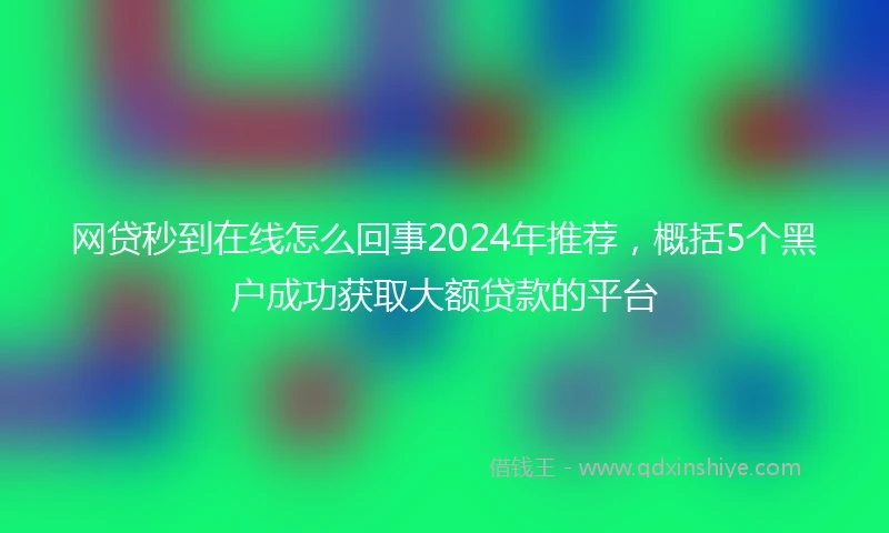 网贷秒到在线怎么回事2024年推荐，概括5个黑户成功获取大额贷款的平台