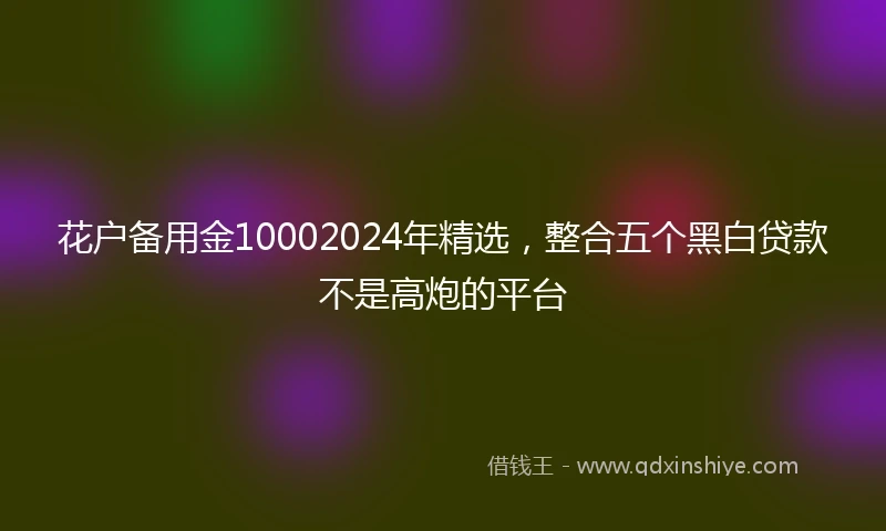 花户备用金10002024年精选，整合五个黑白贷款不是高炮的平台