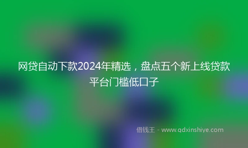 网贷自动下款2024年精选，盘点五个新上线贷款平台门槛低口子