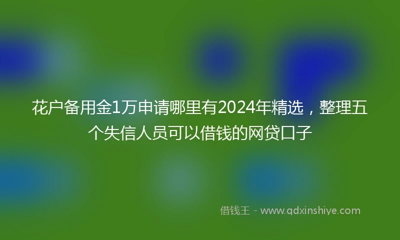 花户备用金1万申请哪里有2024年精选，整理五个失信人员可以借钱的网贷口子