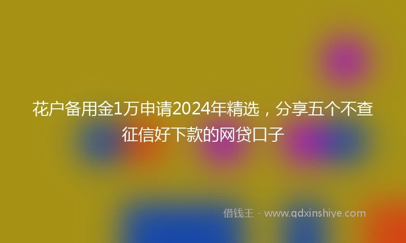 花户备用金1万申请2024年精选，分享五个不查征信好下款的网贷口子