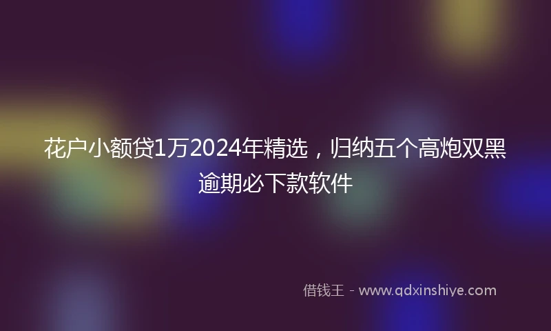 花户小额贷1万2024年精选，归纳五个高炮双黑逾期必下款软件