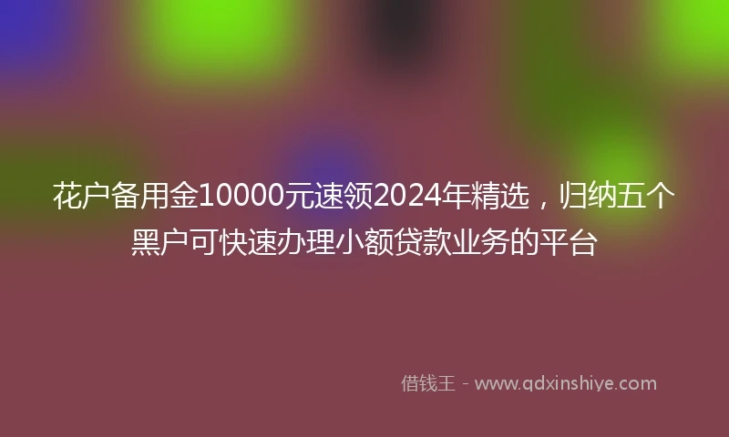 花户备用金10000元速领2024年精选，归纳五个黑户可快速办理小额贷款业务的平台