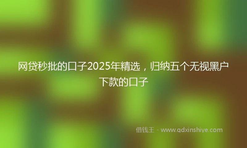 网贷秒批的口子2025年精选，归纳五个无视黑户下款的口子