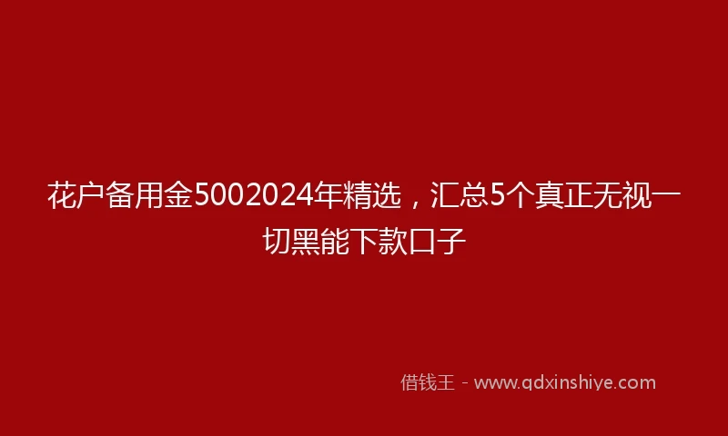 花户备用金5002024年精选，汇总5个真正无视一切黑能下款口子