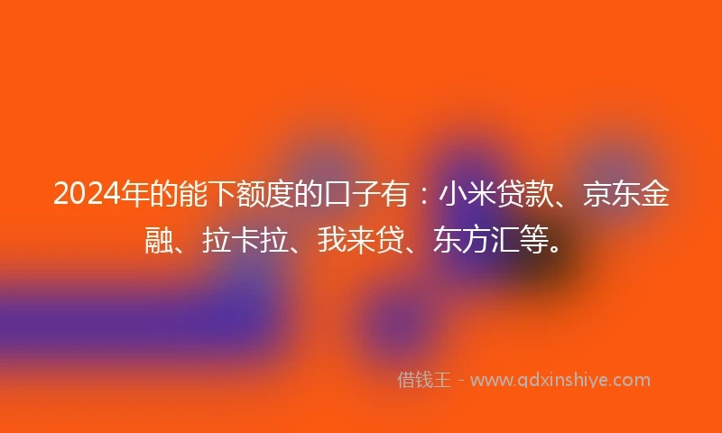 2024年的能下额度的口子有：小米贷款、京东金融、拉卡拉、我来贷、东方汇等。
