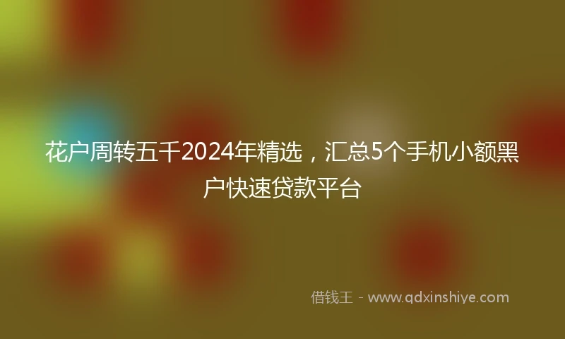花户周转五千2024年精选，汇总5个手机小额黑户快速贷款平台