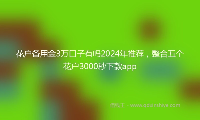 花户备用金3万口子有吗2024年推荐，整合五个花户3000秒下款app