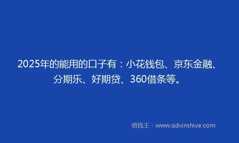 2025年的能用的口子有：小花钱包、京东金融、分期乐、好期贷、360借条等。