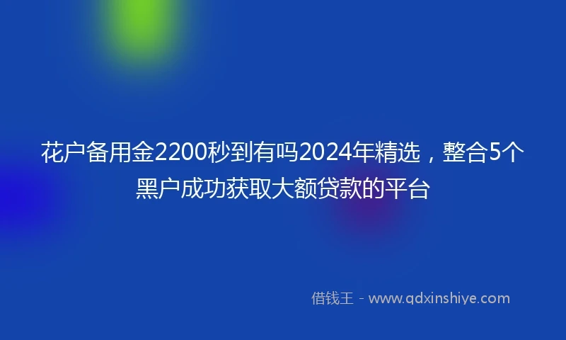 花户备用金2200秒到有吗2024年精选，整合5个黑户成功获取大额贷款的平台