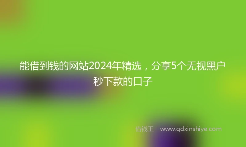能借到钱的网站2024年精选，分享5个无视黑户秒下款的口子