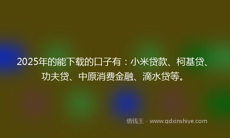 2025年的能下载的口子有：小米贷款、柯基贷、功夫贷、中原消费金融、滴水贷等。