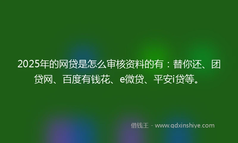2025年的网贷是怎么审核资料的有：替你还、团贷网、百度有钱花、e微贷、平安i贷等。