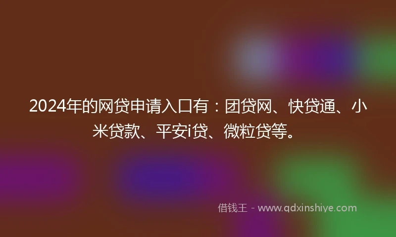 2024年的网贷申请入口有：团贷网、快贷通、小米贷款、平安i贷、微粒贷等。