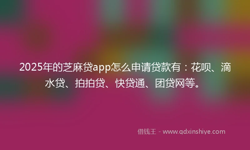 2025年的芝麻贷app怎么申请贷款有：花呗、滴水贷、拍拍贷、快贷通、团贷网等。