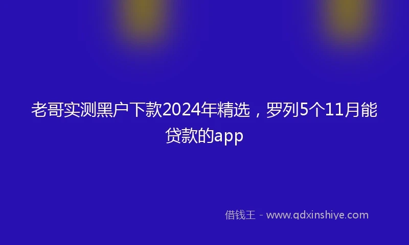 老哥实测黑户下款2024年精选，罗列5个11月能贷款的app