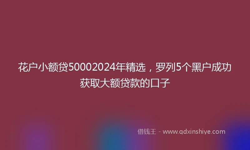 花户小额贷50002024年精选，罗列5个黑户成功获取大额贷款的口子