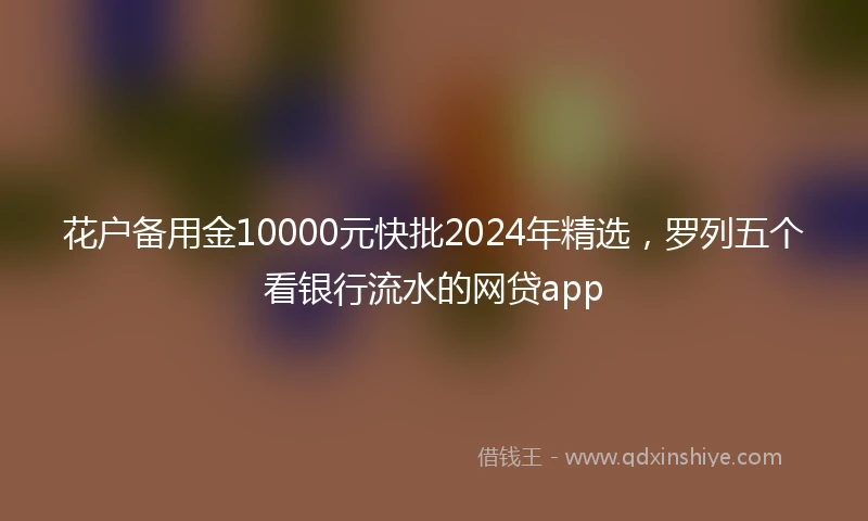花户备用金10000元快批2024年精选，罗列五个看银行流水的网贷app