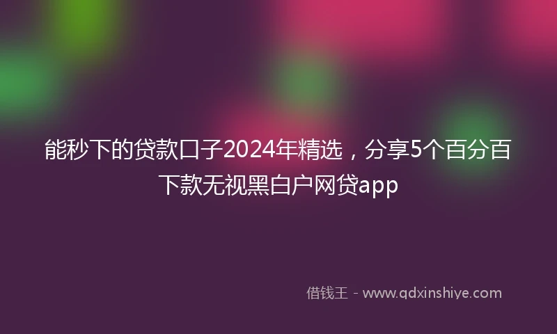 能秒下的贷款口子2024年精选，分享5个百分百下款无视黑白户网贷app
