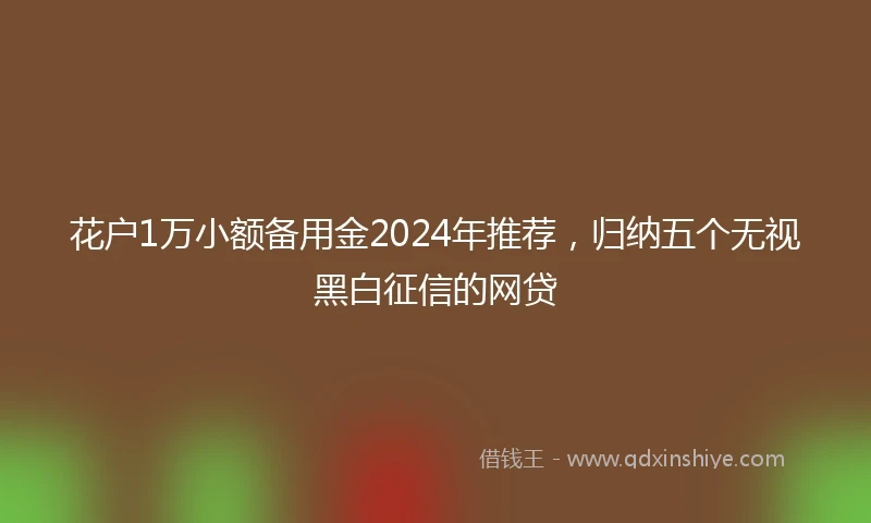 花户1万小额备用金2024年推荐，归纳五个无视黑白征信的网贷