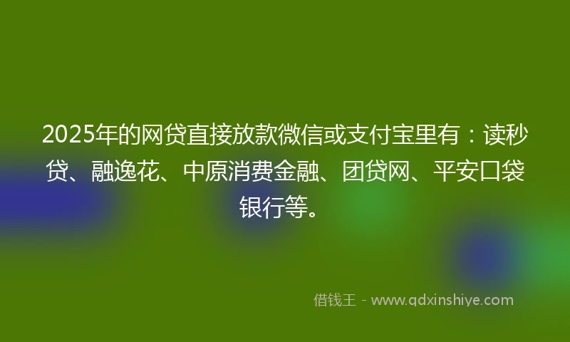 2025年的网贷直接放款微信或支付宝里有：读秒贷、融逸花、中原消费金融、团贷网、平安口袋银行等。