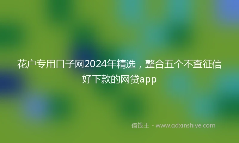 花户专用口子网2024年精选，整合五个不查征信好下款的网贷app