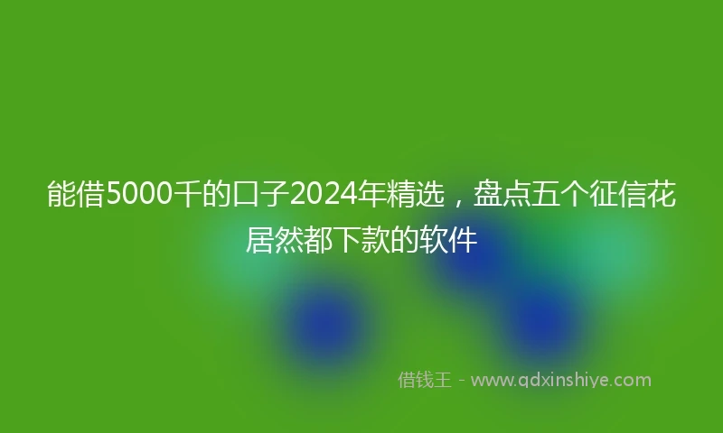 能借5000千的口子2024年精选，盘点五个征信花居然都下款的软件