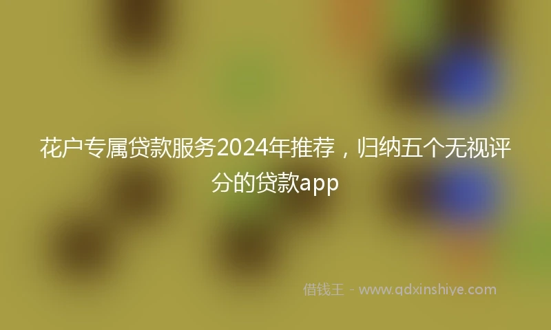 花户专属贷款服务2024年推荐，归纳五个无视评分的贷款app