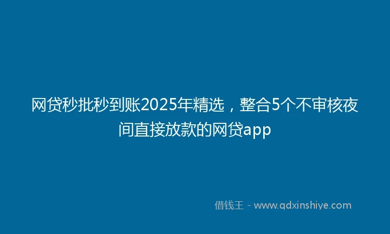 网贷秒批秒到账2025年精选，整合5个不审核夜间直接放款的网贷app