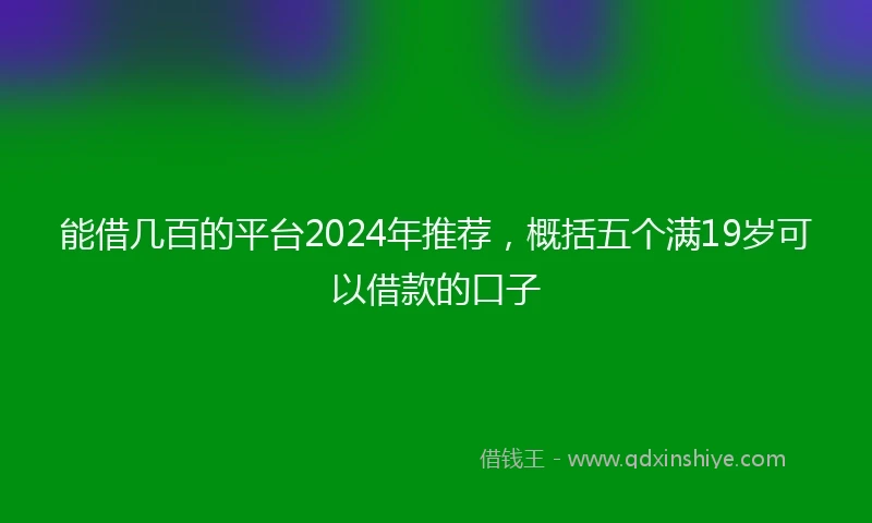 能借几百的平台2024年推荐，概括五个满19岁可以借款的口子
