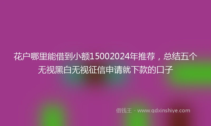 花户哪里能借到小额15002024年推荐，总结五个无视黑白无视征信申请就下款的口子