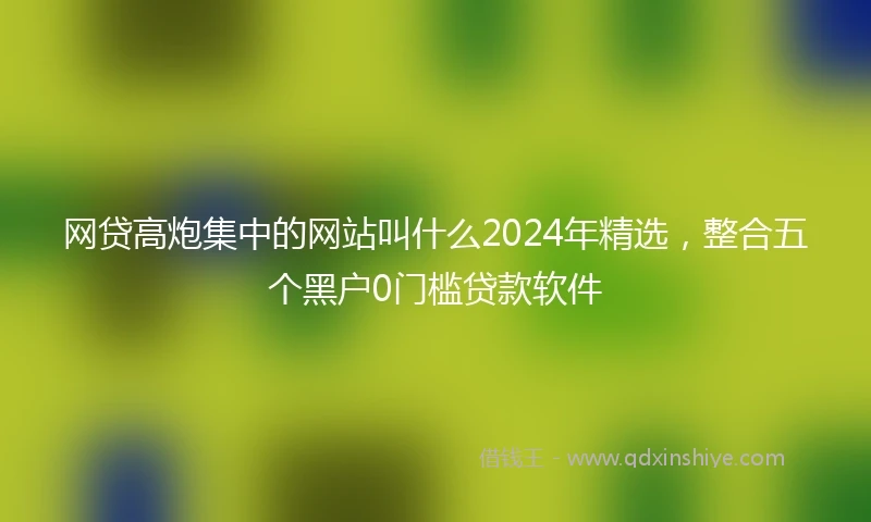 网贷高炮集中的网站叫什么2024年精选，整合五个黑户0门槛贷款软件