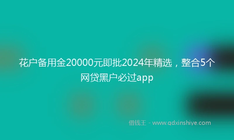 花户备用金20000元即批2024年精选，整合5个网贷黑户必过app