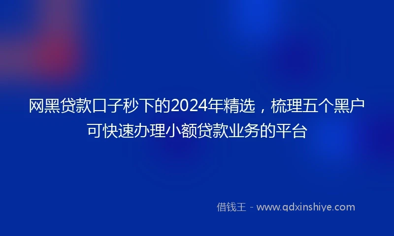 网黑贷款口子秒下的2024年精选，梳理五个黑户可快速办理小额贷款业务的平台